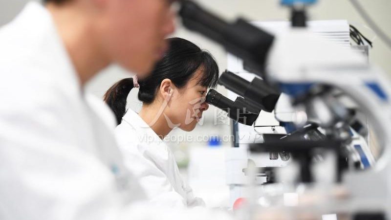 CDMO工艺流程：揭秘其成本构成与影响因素