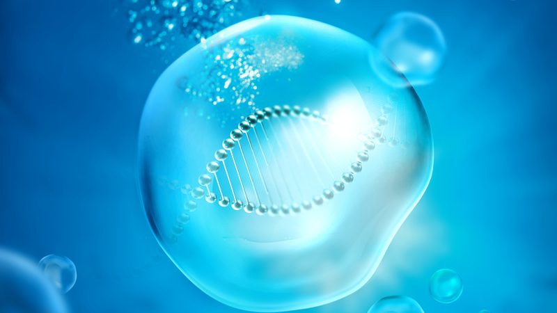 广东生物科技饲料：揭秘其发展现状与未来趋势**