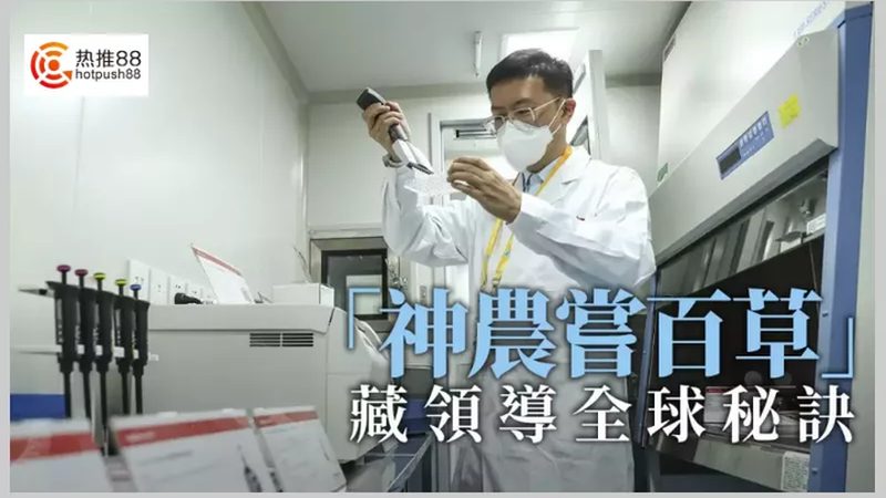 免疫组化抗体稀释比例：揭秘不同品牌间的差异**