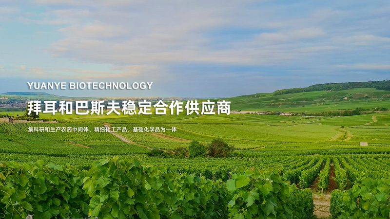 培养基污染处理：实验室安全与效率的双重保障**