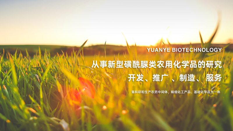 洗衣液中的酶：揭秘其种类与差异**