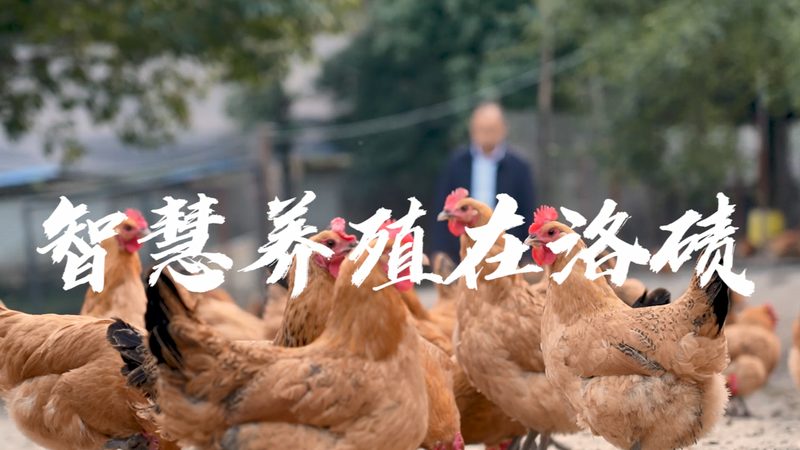 北京PCR试剂盒型号报价单：揭秘精准检测背后的关键要素**